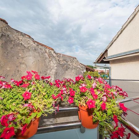 Apartmán Lavi Zadar Exteriér fotografie